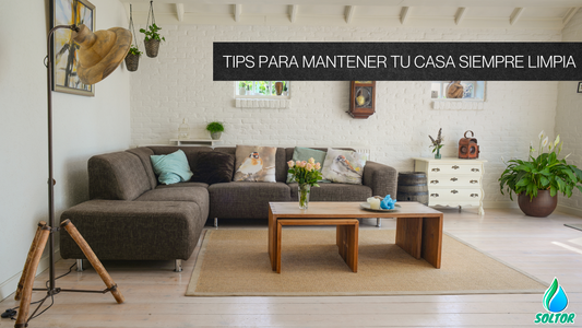 Limpieza del hogar- casa limpia