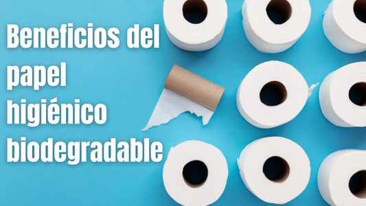 Cónoce el papel higiénico biodegradable y cómo ayuda a la reducción de residuos en nuestro planeta